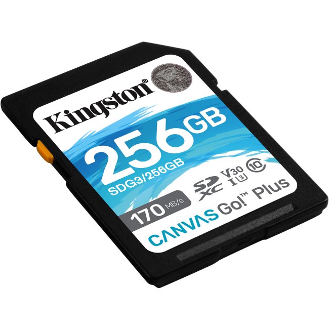 (image for) Kingston Canvas Go! Plus - flash memory card - 256 GB - SDXC UHS-I - Click Image to Close